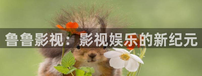 最新发布地址页浮力影院：鲁鲁影视：影视娱乐的新纪元
