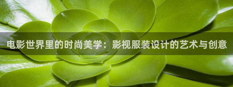 浮力影院草草影视：电影世界里的时尚美学：影视服装设计的艺术与创意