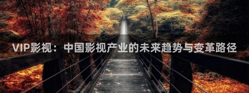浮力影院3358ta：VIP影视：中国影视产业的未来趋势与变革路径