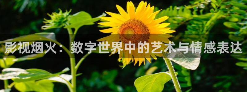 国产浮力影院限制1：影视烟火：数字世界中的艺术与情感表达
