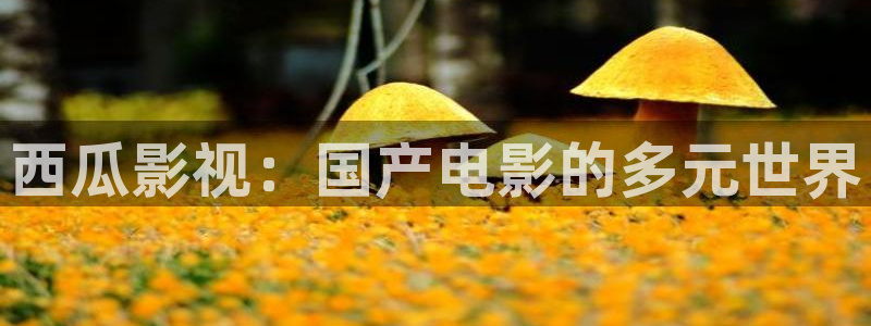 草草影院浮力影院：西瓜影视：国产电影的多元世界